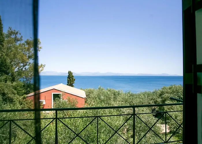 Apartament Olea Mare *