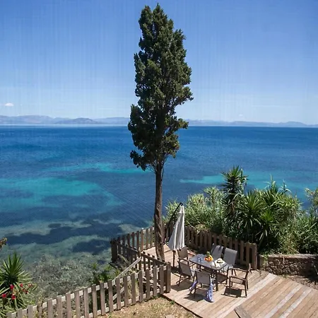 Olea Mare Benitses (Corfu)