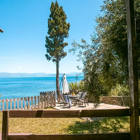 Olea Mare Benitses (Corfu)