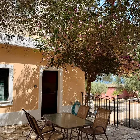 Olea Mare *