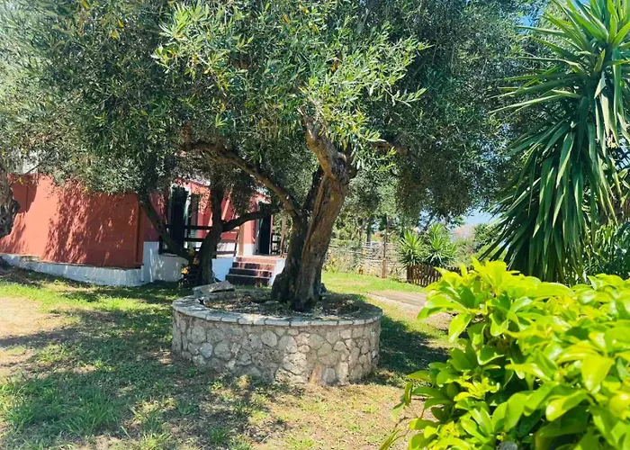 Olea Mare Benitses (Corfu)
