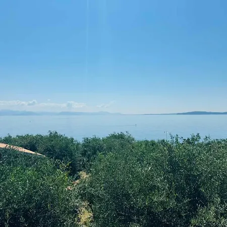 Olea Mare Апартаменты Бенитсес