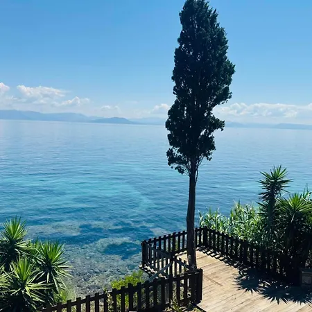 Olea Mare * Benitses (Corfu)