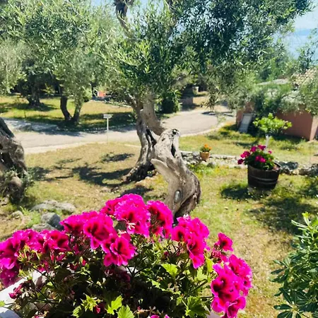 Apartment Olea Mare