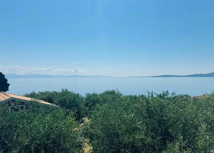 Olea Mare Daire Benitses (Corfu)