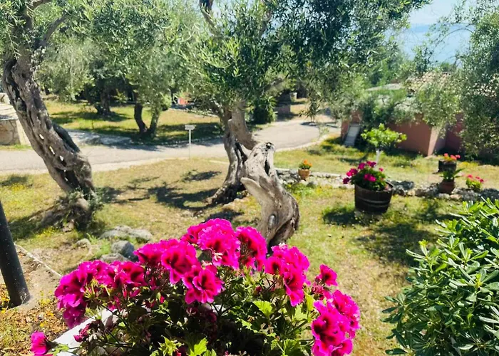Apartmán Olea Mare